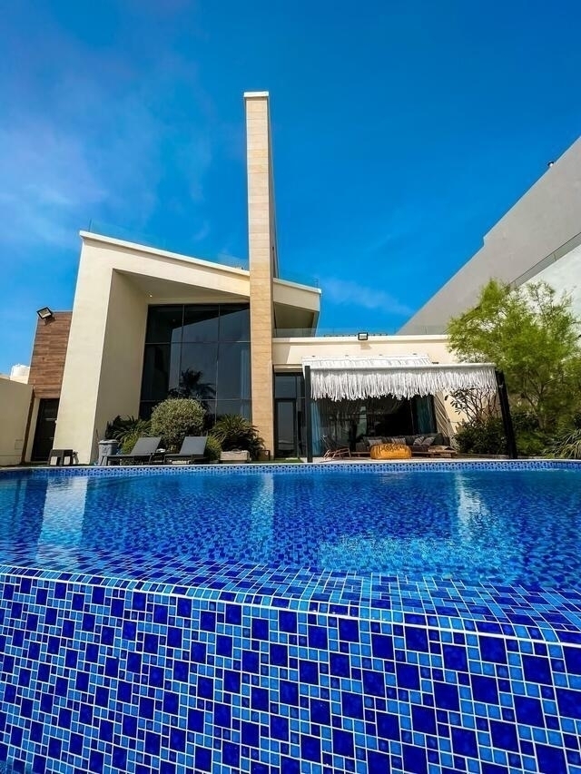 Palm  ( <i style='color:#B10622'> VVIP</i> )