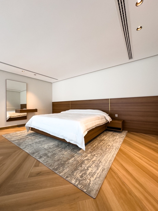 THE CURE  ( <i style='color:#B10622'>VVIP</i> )