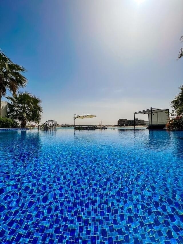 Palm  ( <i style='color:#B10622'> VVIP</i> )