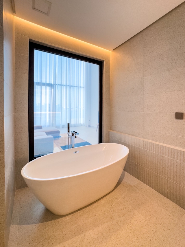 THE CURE  ( <i style='color:#B10622'>VVIP</i> )